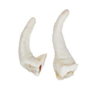 Rabo salgado